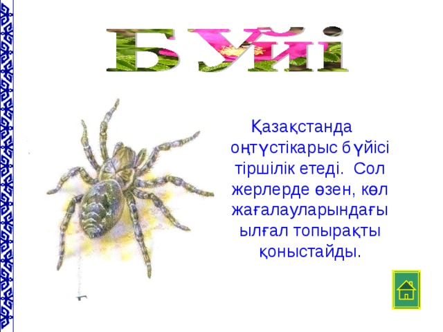 Қазақстанда оңтүстікарыс бүйісі тіршілік етеді. Сол жерлерде өзен, көл жағалауларындағы ылғал топырақты қоныстайды .