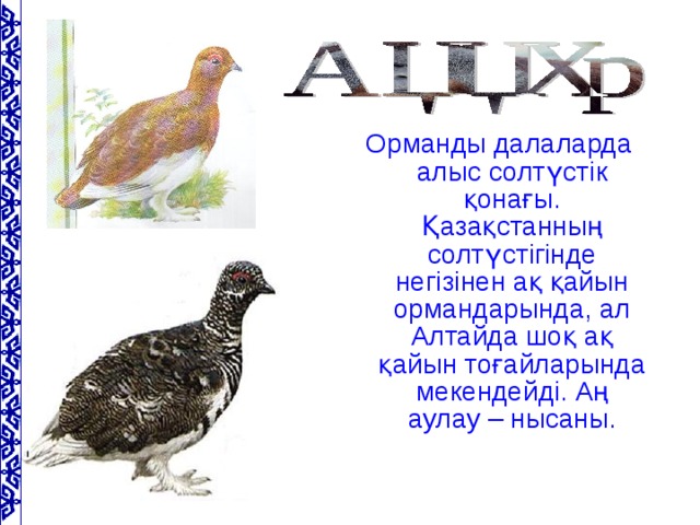 Орманды далаларда алыс солтүстік қонағы. Қазақстанның солтүстігінде негізінен ақ қайын ормандарында, ал Алтайда шоқ ақ қайын тоғайларында мекендейді. Аң аулау – нысаны.