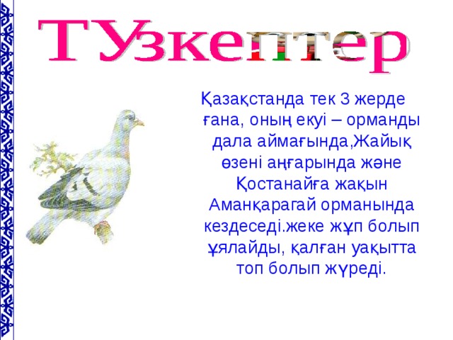 Қазақстанда тек 3 жерде ғана, оның екуі – орманды дала аймағында,Жайық өзені аңғарында және Қостанайға жақын Аманқарагай орманында кездеседі.жеке жұп болып ұялайды, қалған уақытта топ болып жүреді.