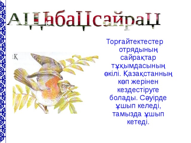 Торғайтектестер отрядының сайрақтар тұқымдасының өкілі. Қазақстанның көп жерінен кездестіруге болады. Сәуірде ұшып келеді, тамызда ұшып кетеді.