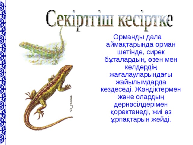 Орманды дала аймақтарында орман шетінде, сирек бұталардың, өзен мен көлдердің жағалауларындағы жайылымдарда кездеседі. Жәндіктермен және олардың дернәсілдерімен қоректенеді, жиі өз ұрпақтарын жейді.