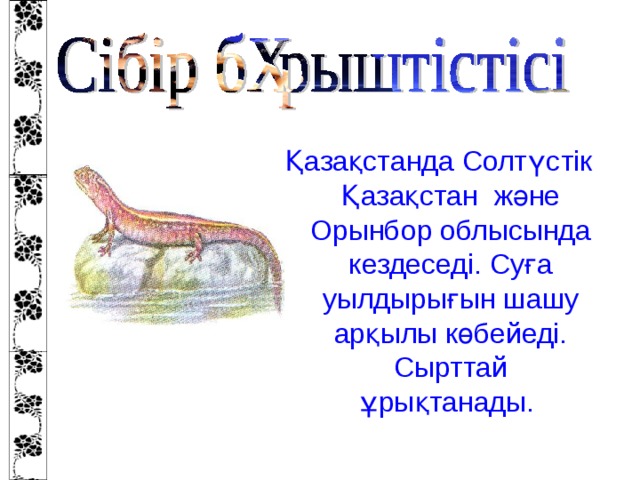 Қазақстанда Солтүстік Қазақстан және Орынбор облысында кездеседі. Суға уылдырығын шашу арқылы көбейеді. Сырттай ұрықтанады.