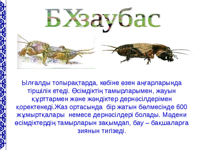 Ылғалды топырақтарда, көбіне өзен аңғарларында тіршілік етеді. Өсімдіктің тамырларымен, жауын құрттармен және жәндіктер дернәсілдерімен қоректенеді.Жаз ортасында бір жатын бөлмесінде 600 жұмыртқалары немесе дернәсілдері болады. Мәдени өсімдіктердің тамырларын зақымдап, бау – бақшаларға зиянын тигізеді.