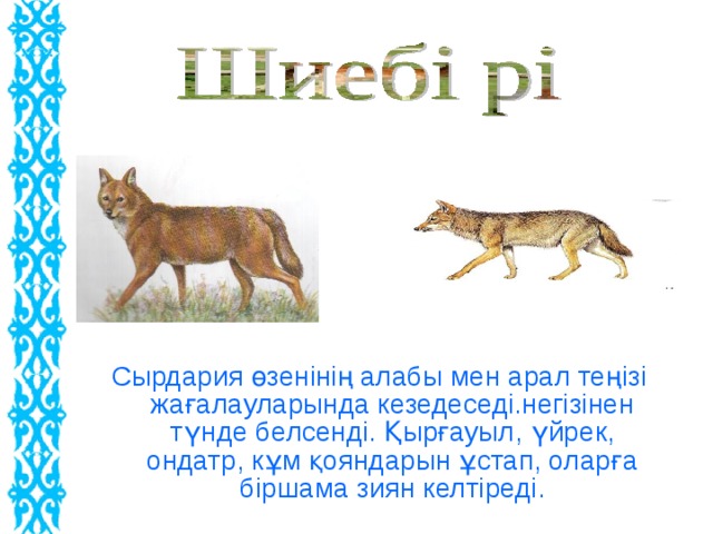 Сырдария өзенінің алабы мен арал теңізі жағалауларында кезедеседі.негізінен түнде белсенді. Қырғауыл, үйрек, ондатр, кұм қояндарын ұстап, оларға біршама зиян келтіреді.