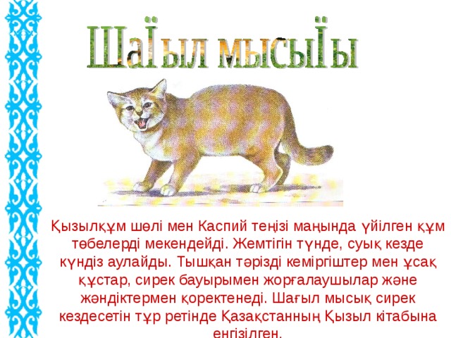 Қызылқұм шөлі мен Каспий теңізі маңында үйілген құм төбелерді мекендейді. Жемтігін түнде, суық кезде күндіз аулайды. Тышқан тәрізді кеміргіштер мен ұсақ құстар, сирек бауырымен жорғалаушылар және жәндіктермен қоректенеді. Шағыл мысық сирек кездесетін тұр ретінде Қазақстанның Қызыл кітабына енгізілген.