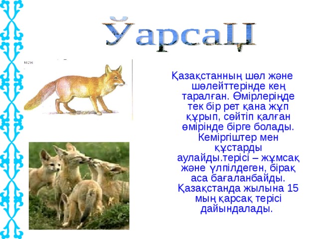 Қазақстанның шөл және шөлейттерінде кең таралған. Өмірлеріңде тек бір рет қана жұп құрып, сөйтіп қалған өмірінде бірге болады. Кеміргіштер мен құстарды аулайды.терісі – жұмсақ және үлпілдеген, бірақ аса бағаланбайды. Қазақстанда жылына 15 мың қарсақ терісі дайындалады.