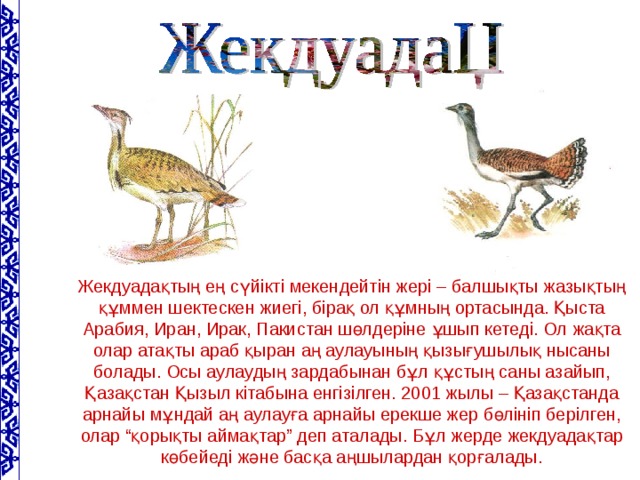 Жекдуадақтың ең сүйікті мекендейтін жері – балшықты жазықтың құммен шектескен жиегі, бірақ ол құмның ортасында. Қыста Арабия, Иран, Ирак, Пакистан шөлдеріне ұшып кетеді. Ол жақта олар атақты араб қыран аң аулауының қызығушылық нысаны болады. Осы аулаудың зардабынан бұл құстың саны азайып, Қазақстан Қызыл кітабына енгізілген. 2001 жылы – Қазақстанда арнайы мұндай аң аулауға арнайы ерекше жер бөлініп берілген, олар “қорықты аймақтар” деп аталады. Бұл жерде жекдуадақтар көбейеді және басқа аңшылардан қорғалады.