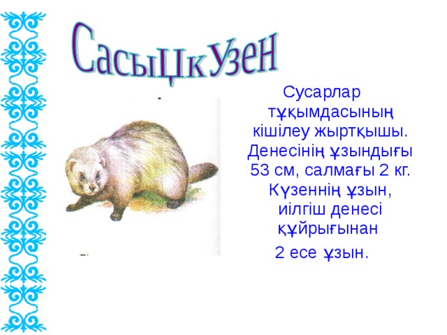 Сусарлар тұқымдасының кішілеу жыртқышы. Денесінің ұзындығы 53 см, салмағы 2 кг. Күзеннің ұзын, иілгіш денесі құйрығынан 2 есе ұзын.