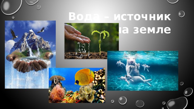 Вода – источник жизни на земле