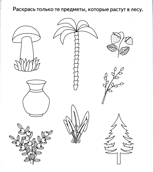 Картинки найди и раскрась предметы для дошкольников