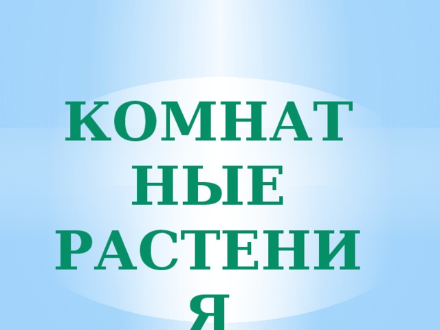 комнатные растения