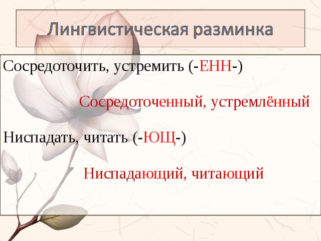 Сосредоточить, устремить (- ЕНН -)  Сосредоточ енн ый, устремл ённ ый Ниспадать, читать (- ЮЩ -)  Ниспада ющ ий, чита ющ ий