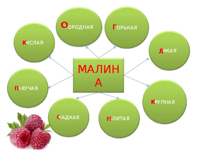 ОРЬКАЯ ГОРОДНАЯ О Г ИСЛАЯ ИКАЯ К Д МАЛИНА АХУЧАЯ П РУПНАЯ К ЛАДКАЯ АЛИТАЯ С Н