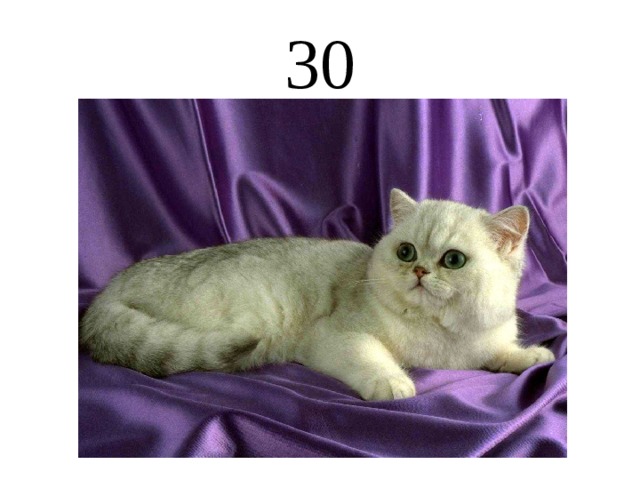 30