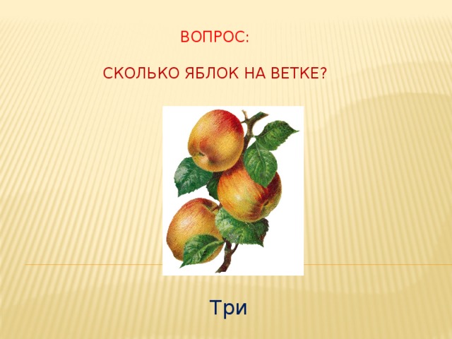 Вопрос:   Сколько яблок на ветке? Три