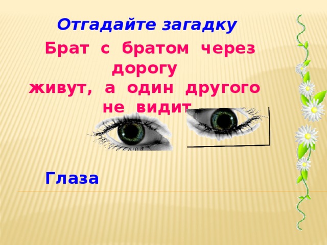 Отгадайте загадку Брат с братом через дорогу живут, а один другого не видит. Глаза