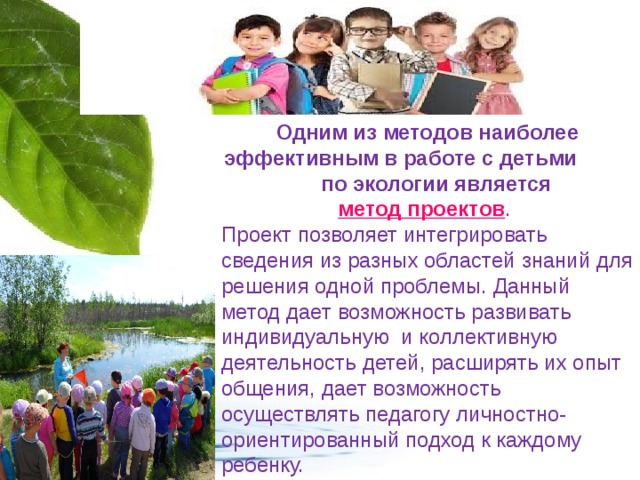 Социальный проект по экологии для школьников