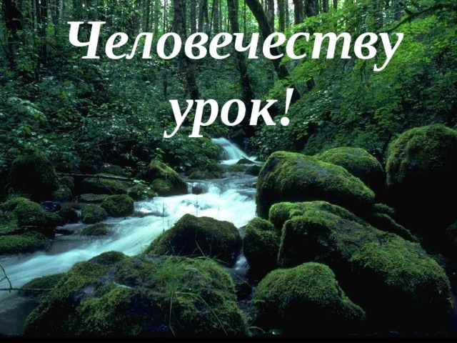 Человечеству урок!