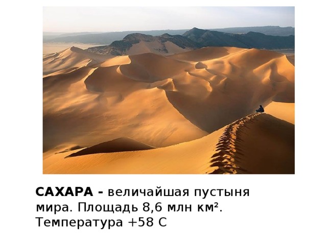САХАРА - величайшая пустыня мира. Площадь 8,6 млн км². Температура +58 С