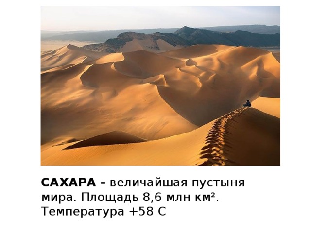 САХАРА - величайшая пустыня мира. Площадь 8,6 млн км². Температура +58 С