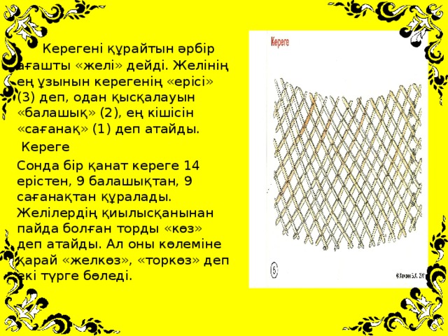 Керегені құрайтын әрбір ағашты «желі» дейді. Желінің ең ұзынын керегенің «ерісі» (3) деп, одан қысқалауын «балашық» (2), ең кішісін «сағанақ» (1) деп атайды.  Кереге Сонда бір қанат кереге 14 ерістен, 9 балашықтан, 9 сағанақтан құралады. Желілердің қиылысқанынан пайда болған торды «көз» деп атайды. Ал оны көлеміне қарай «желкөз», «торкөз» деп екі түрге бөледі.