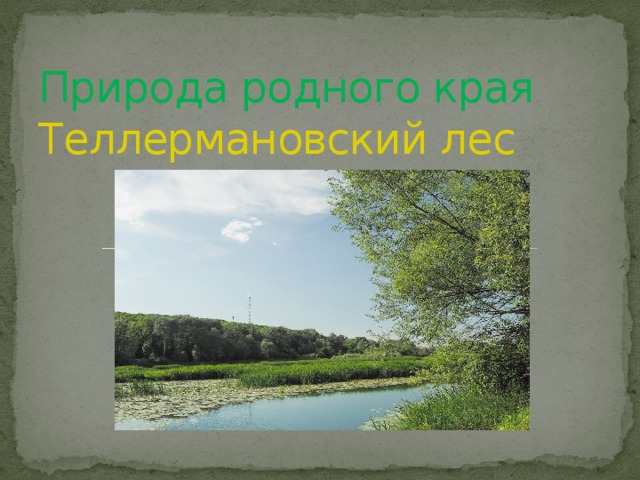 Природа родного края  Теллермановский лес