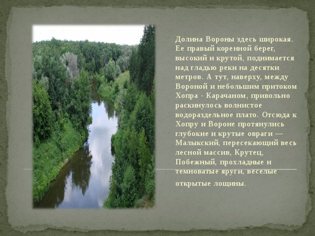 Долина Вороны здесь широкая. Ее правый коренной берег, высокий и крутой, поднимается над гладью реки на десятки метров. А тут, наверху, между Вороной и небольшим притоком Хопра - Карачаном, привольно раскинулось волнистое водораздельное плато. Отсюда к Хопру и Вороне протянулись глубокие и крутые овраги — Малыкский, пересекающий весь лесной массив, Крутец, Побежный, прохладные и темноватые яруги, веселые открытые лощины.