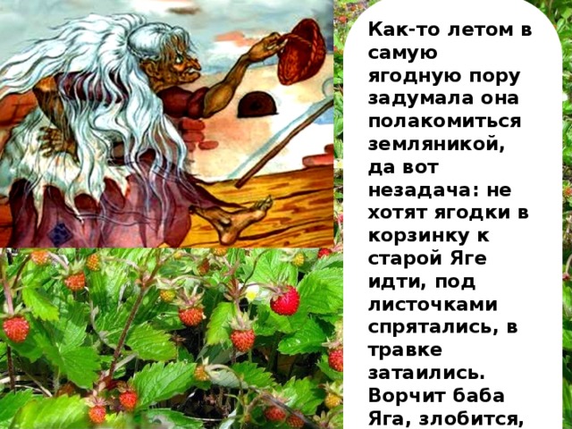 Как-то летом в самую ягодную пору задумала она полакомиться земляникой, да вот незадача: не хотят ягодки в корзинку к старой Яге идти, под листочками спрятались, в травке затаились. Ворчит баба Яга, злобится, да под каждый листик не заглянешь, каждому кусту не поклонишься.