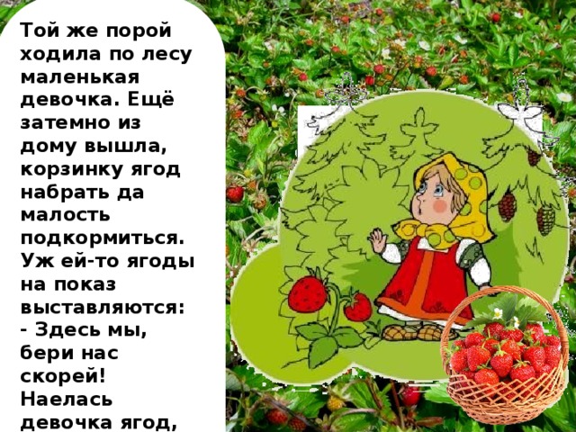 Той же порой ходила по лесу маленькая девочка. Ещё затемно из дому вышла, корзинку ягод набрать да малость подкормиться. Уж ей-то ягоды на показ выставляются: - Здесь мы, бери нас скорей! Наелась девочка ягод, набрала полную корзинку и хотела уж было домой идти.