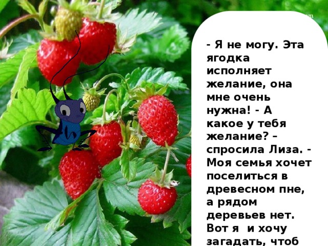 - Я не могу. Эта ягодка исполняет желание, она мне очень нужна! - А какое у тебя желание? – спросила Лиза. - Моя семья хочет поселиться в древесном пне, а рядом деревьев нет. Вот я и хочу загадать, чтоб на лугу появился пень,- поведал девочке сверчок.