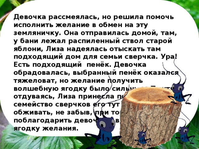 Девочка рассмеялась, но решила помочь исполнить желание в обмен на эту земляничку. Она отправилась домой, там, у бани лежал распиленный ствол старой яблони, Лиза надеялась отыскать там подходящий дом для семьи сверчка. Ура! Есть подходящий пенёк. Девочка обрадовалась, выбранный пенёк оказался тяжеловат, но желание получить волшебную ягодку было сильным. Пыхтя и отдуваясь, Лиза принесла пенёк на луг, где семейство сверчков его тут же принялось обживать, не забыв, при том поблагодарить девочку и вручить ей ягодку желания.