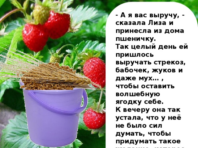 - А я вас выручу, - сказала Лиза и принесла из дома пшеничку. Так целый день ей пришлось выручать стрекоз, бабочек, жуков и даже мух… , чтобы оставить волшебную ягодку себе. К вечеру она так устала, что у неё не было сил думать, чтобы придумать такое желание, которое устроило бы всех ее близких ей людей.