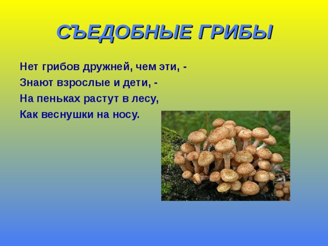 СЪЕДОБНЫЕ ГРИБЫ Нет грибов дружней, чем эти, - Знают взрослые и дети, - На пеньках растут в лесу, Как веснушки на носу.