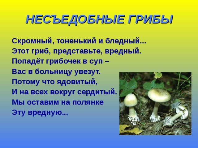 НЕСЪЕДОБНЫЕ ГРИБЫ Скромный, тоненький и бледный... Этот гриб, представьте, вредный. Попадёт грибочек в суп – Вас в больницу увезут. Потому что ядовитый, И на всех вокруг сердитый. Мы оставим на полянке Эту вредную...