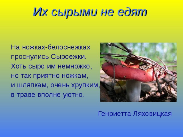 Их сырыми не едят    На ножках-белоснежках проснулись Сыроежки. Хоть сыро им немножко, но так приятно ножкам, и шляпкам, очень хрупким, в траве вполне уютно.   Генриетта Ляховицкая