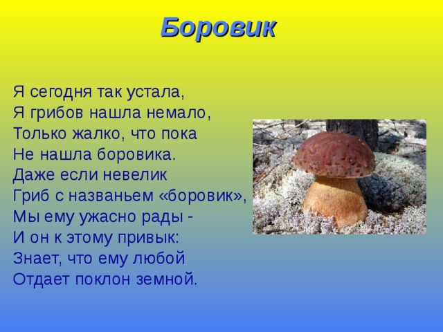 Боровик   Я сегодня так устала, Я грибов нашла немало, Только жалко, что пока Не нашла боровика. Даже если невелик Гриб с названьем «боровик», Мы ему ужасно рады - И он к этому привык: Знает, что ему любой Отдает поклон земной.