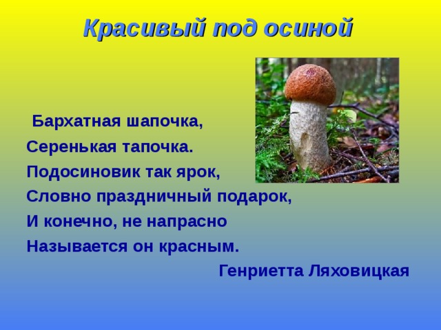 Красивый под осиной    Бархатная шапочка, Серенькая тапочка. Подосиновик так ярок, Словно праздничный подарок, И конечно, не напрасно Называется он красным. Генриетта Ляховицкая