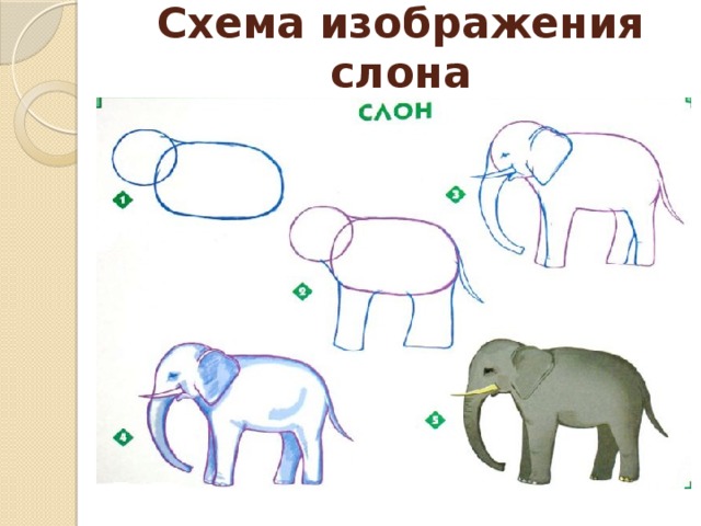 Схема изображения слона
