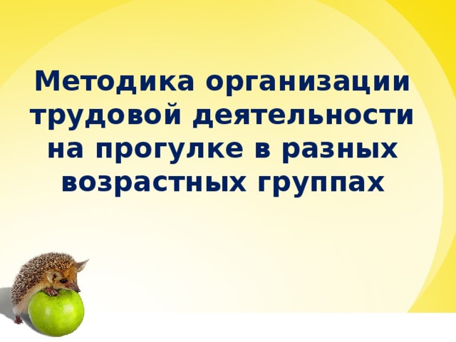 Методика организации трудовой деятельности на прогулке в разных возрастных группах