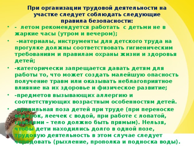 При организации трудовой деятельности на участке следует соблюдать следующие правила безопасности: