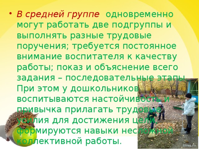 В средней группе    одновременно могут работать две подгруппы и выполнять разные трудовые поручения; требуется постоянное внимание воспитателя к качеству работы; показ и объяснение всего задания – последовательные этапы. При этом у дошкольников воспитываются настойчивость и привычка прилагать трудовые усилия для достижения цели, формируются навыки несложной коллективной работы.