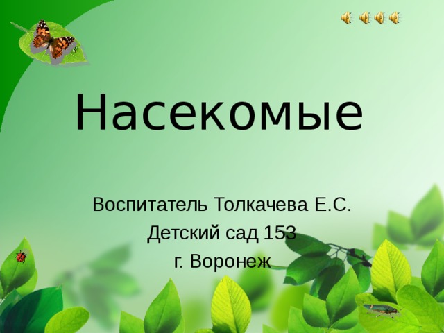 Насекомые Воспитатель Толкачева Е.С. Детский сад 153 г. Воронеж