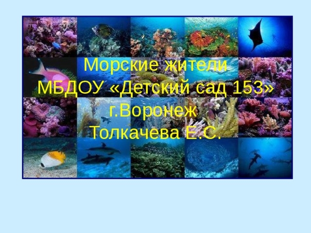 Морские жители  МБДОУ «Детский сад 153» г.Воронеж  Толкачева Е.С.