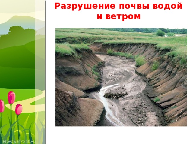 Разрушение почвы водой и ветром
