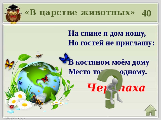 40 «В царстве животных» На спине я дом ношу,  Но гостей не приглашу:  В костяном моём дому  Место только одному.  Черепаха