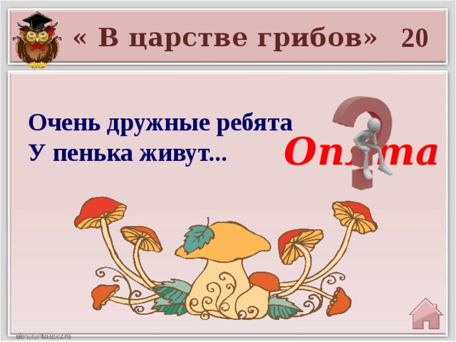 20 « В царстве грибов» Очень дружные ребята  У пенька живут... Опята