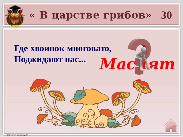 30 « В царстве грибов» Где хвоинок многовато,  Поджидают нас... Маслята