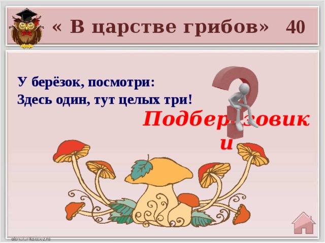 40 « В царстве грибов» У берёзок, посмотри:  Здесь один, тут целых три! Подберёзовики