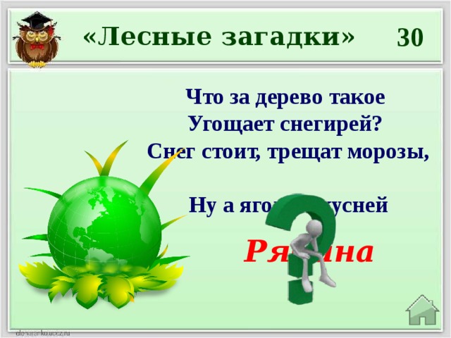 30 «Лесные загадки» Что за дерево такое  Угощает снегирей?  Снег стоит, трещат морозы,  Ну а ягоды вкусней Рябина