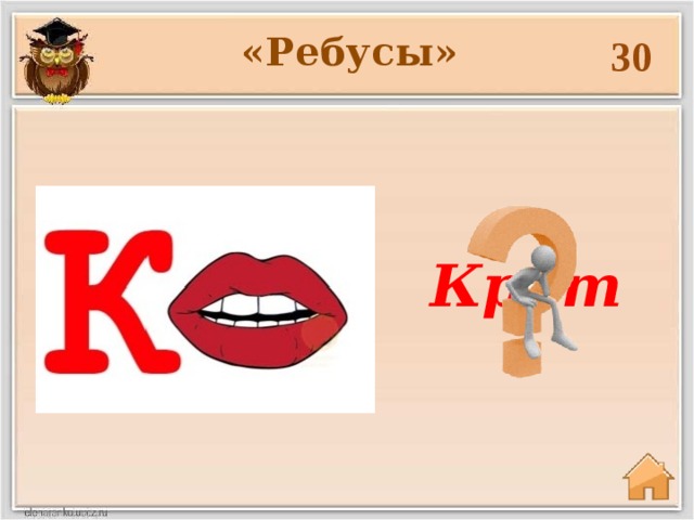 «Ребусы» 30 Крот